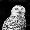 Tierpark Gera