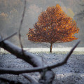 Winter Wanderung